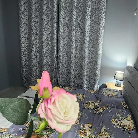 Modern Ibra 2 Apartman *
