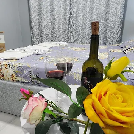 Apartman Modern Ibra 2 *